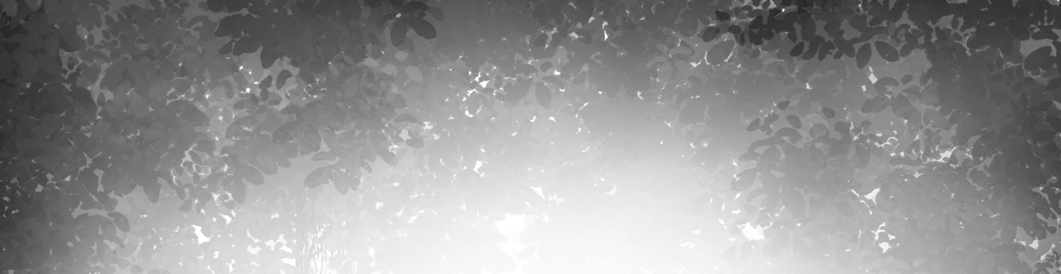 Cover for team profile