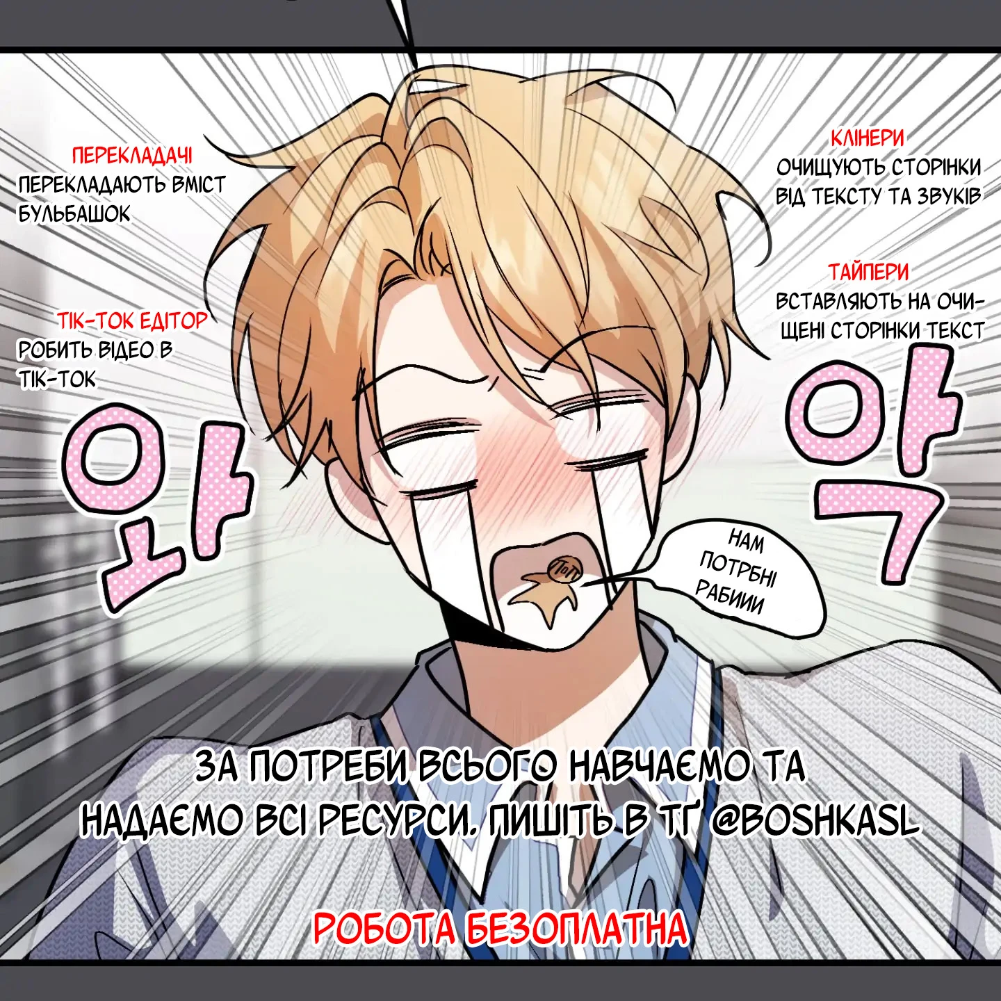 Шукаємо людей у команду