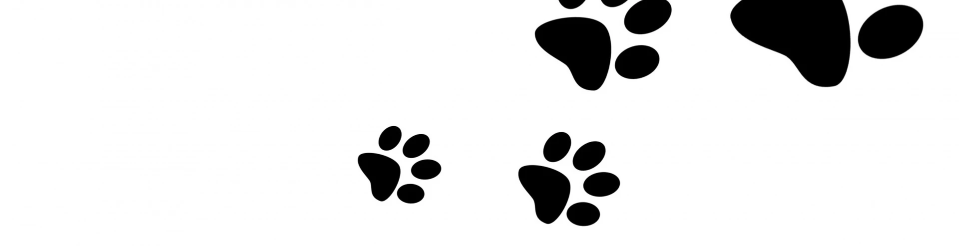 Cover for team profile