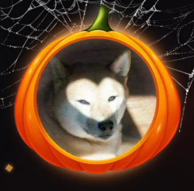 Залітаємо в spooky season! 🎃