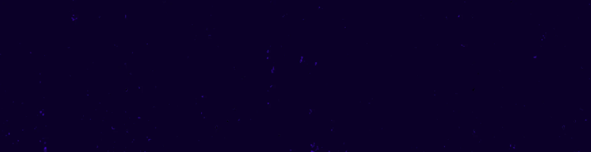 Cover for team profile