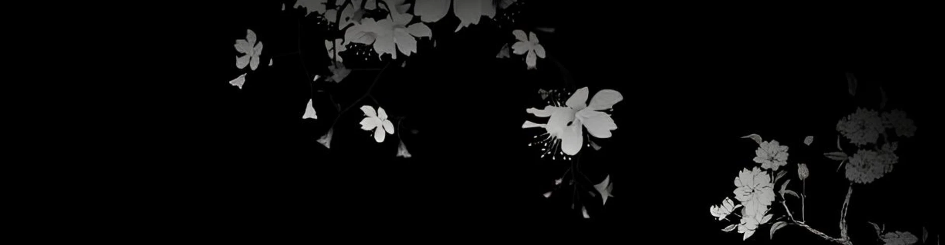 Cover for team profile