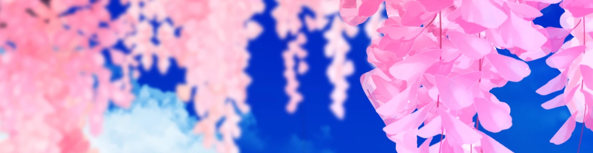 Cover for team profile