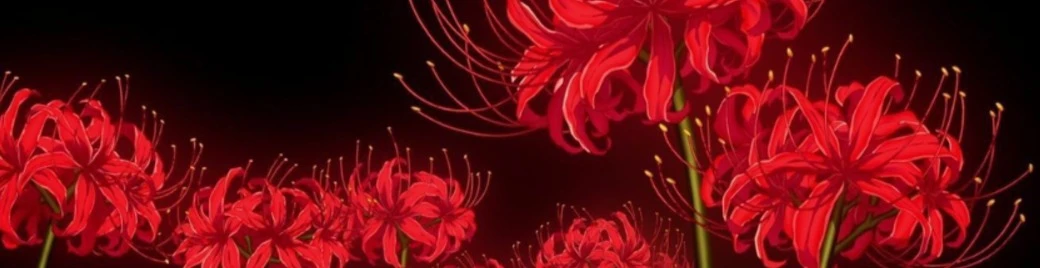 Cover for team profile