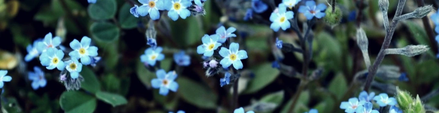 Cover for team profile