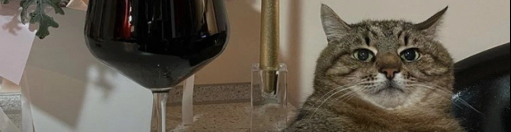 Cover for team profile