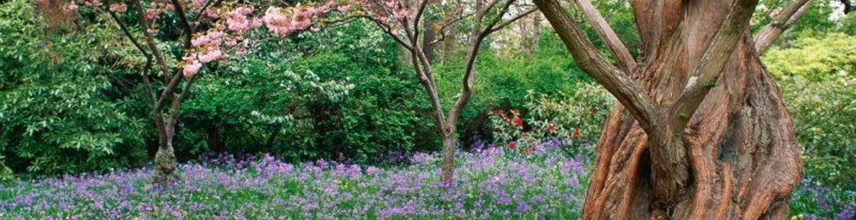 Cover for team profile