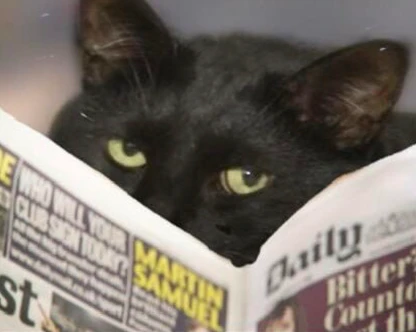 Оголошення знову працюють