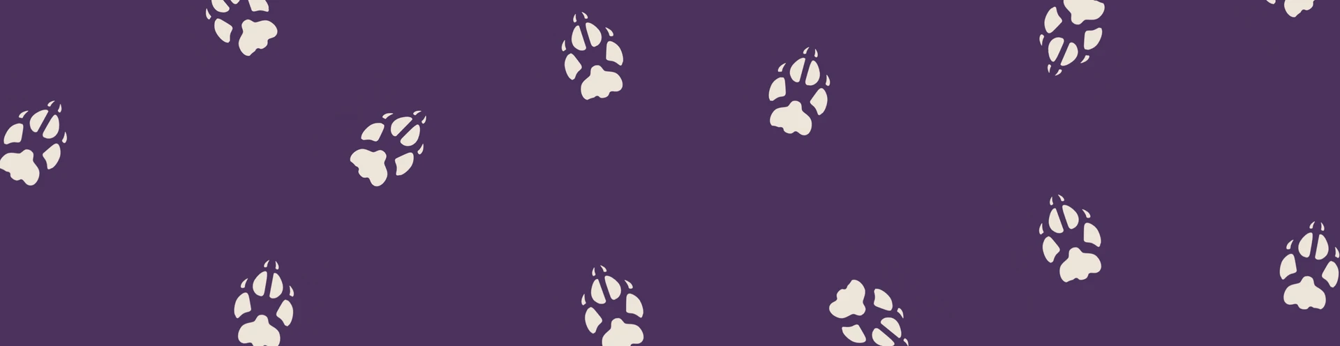 Cover for team profile