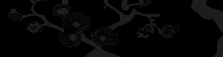 Cover for team profile