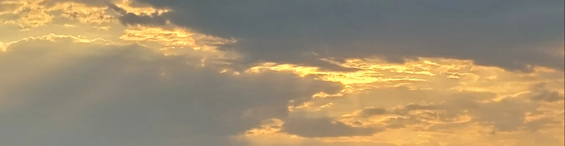 Cover for team profile