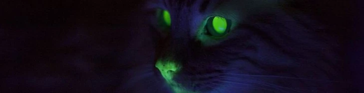 Cover for team profile