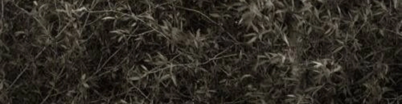 Cover for team profile