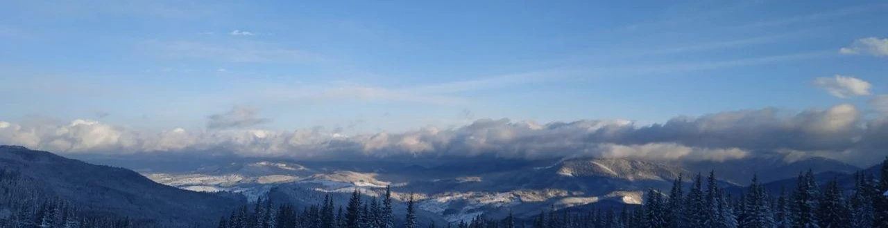 Cover for team profile