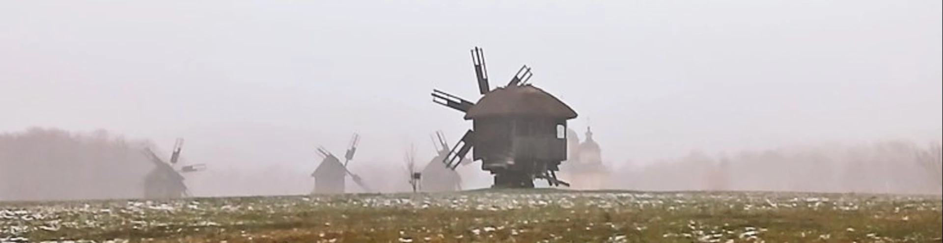 Cover for team profile