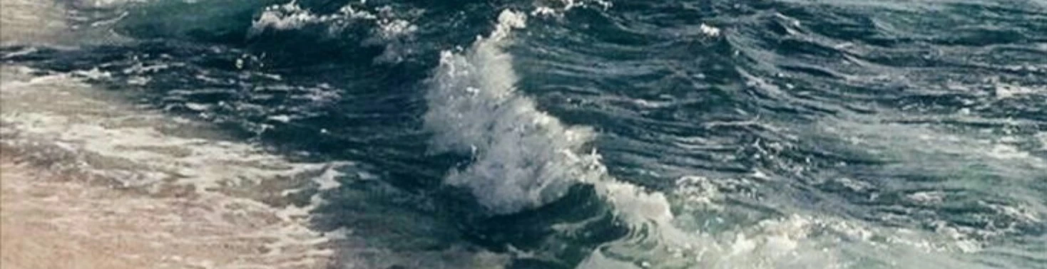 Cover for team profile