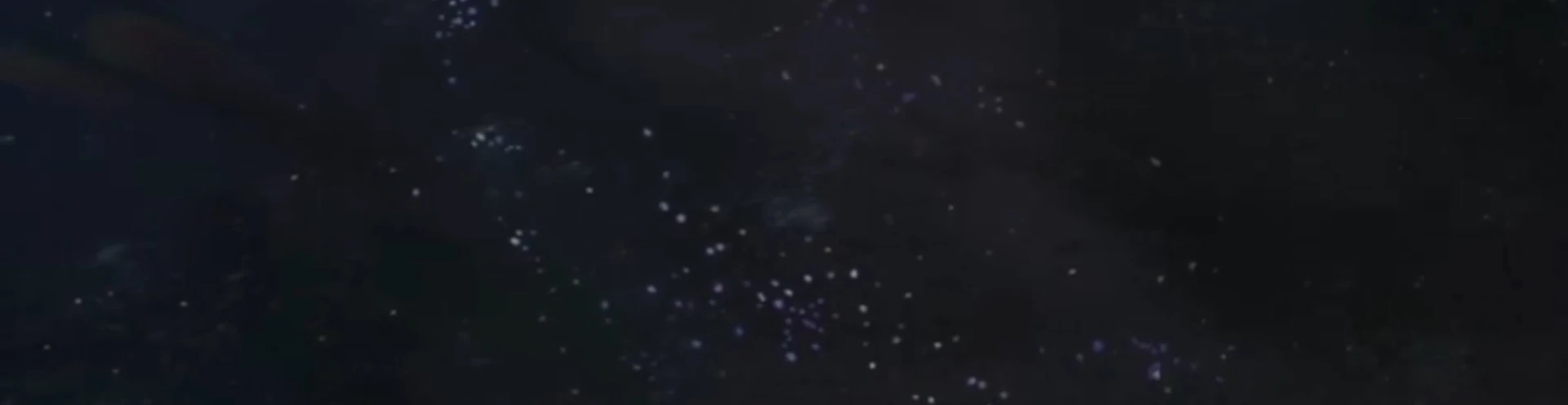 Cover for team profile