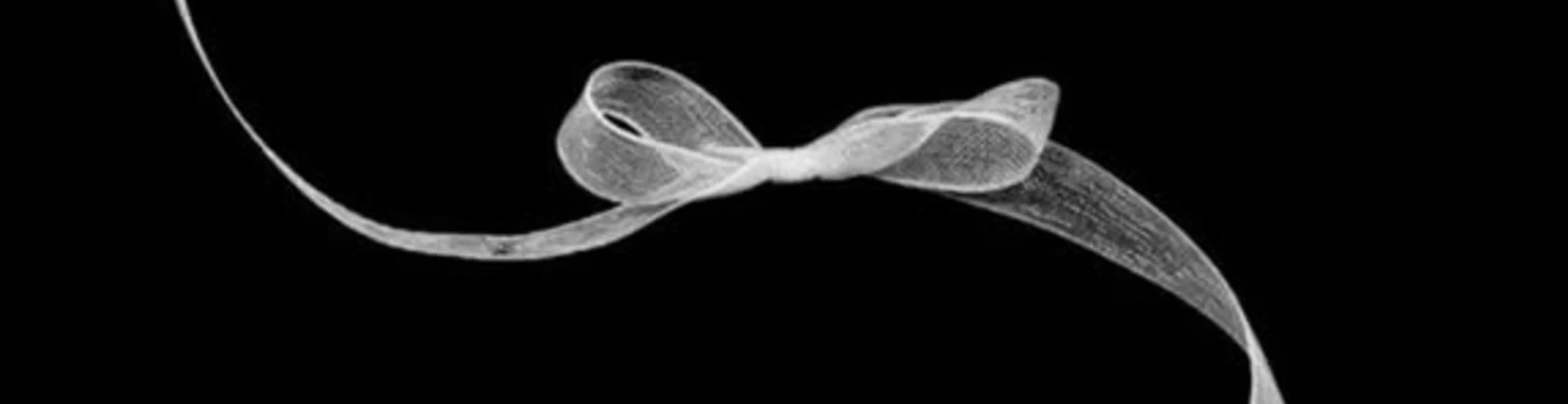 Cover for team profile