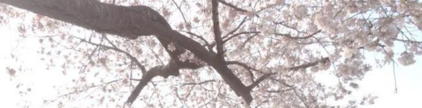 Cover for team profile