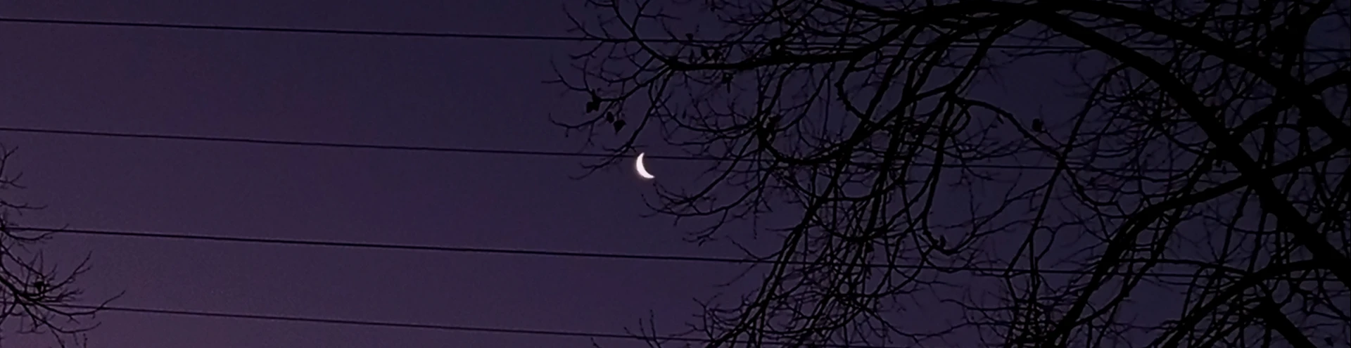 Cover for team profile