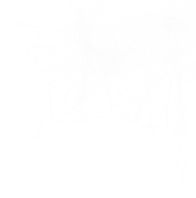 Zenko