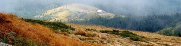 Cover for team profile