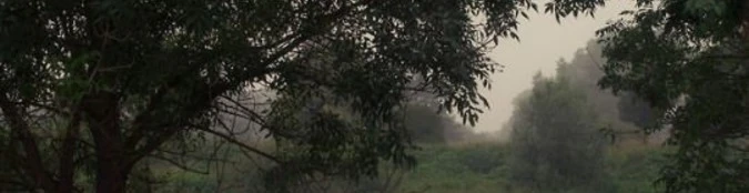 Cover for team profile