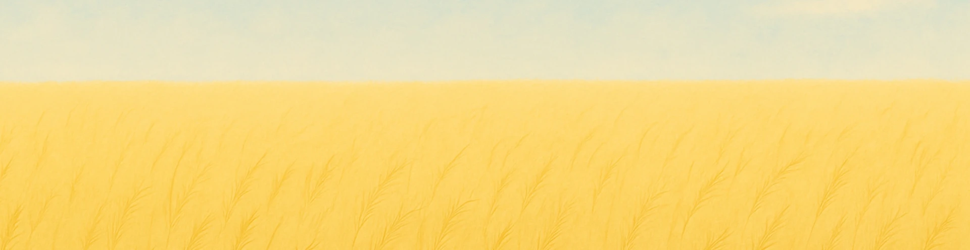 Cover for team profile