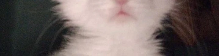 Cover for team profile