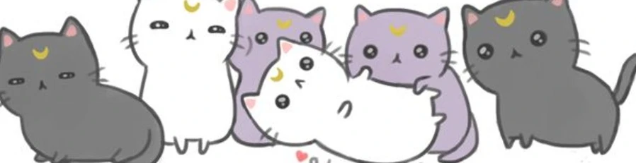 Cover for team profile