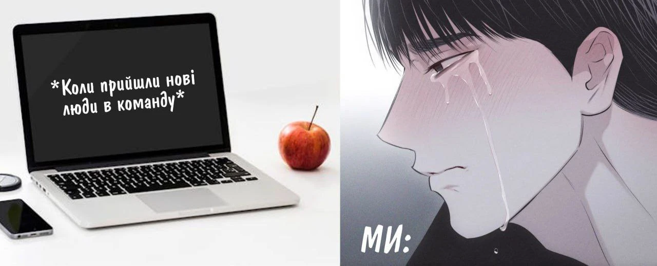 Шукаємо кошенят