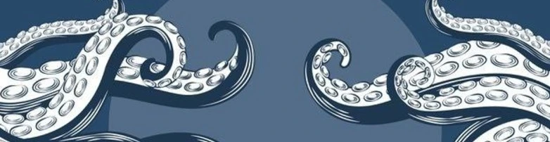 Cover for team profile