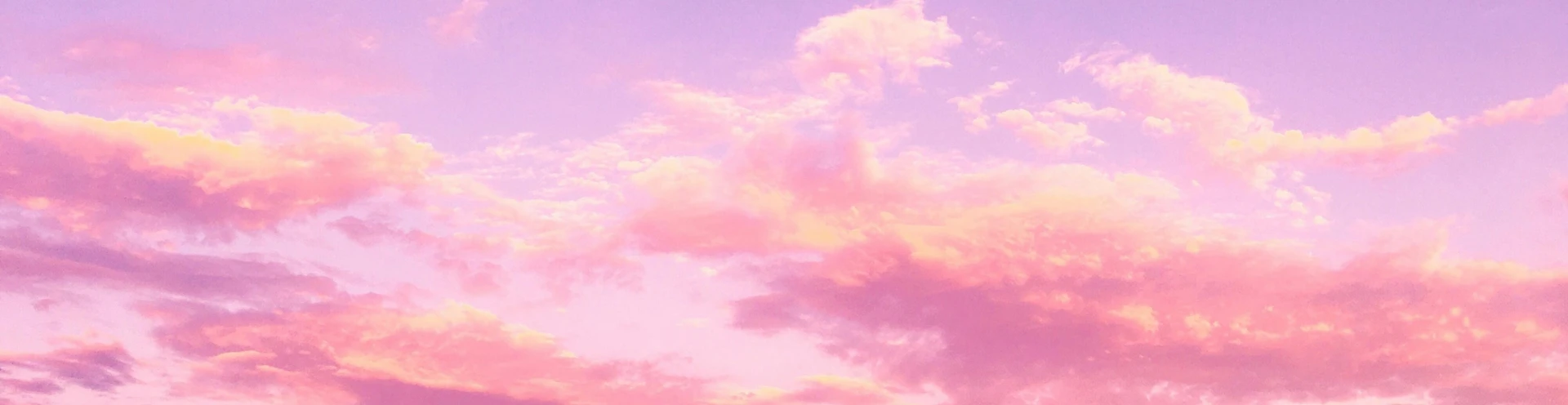 Cover for team profile