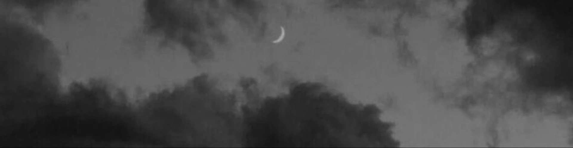 Cover for team profile