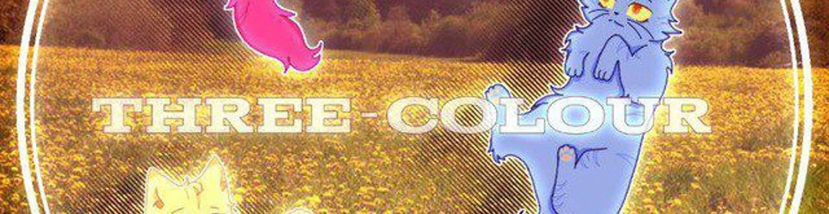 Cover for team profile