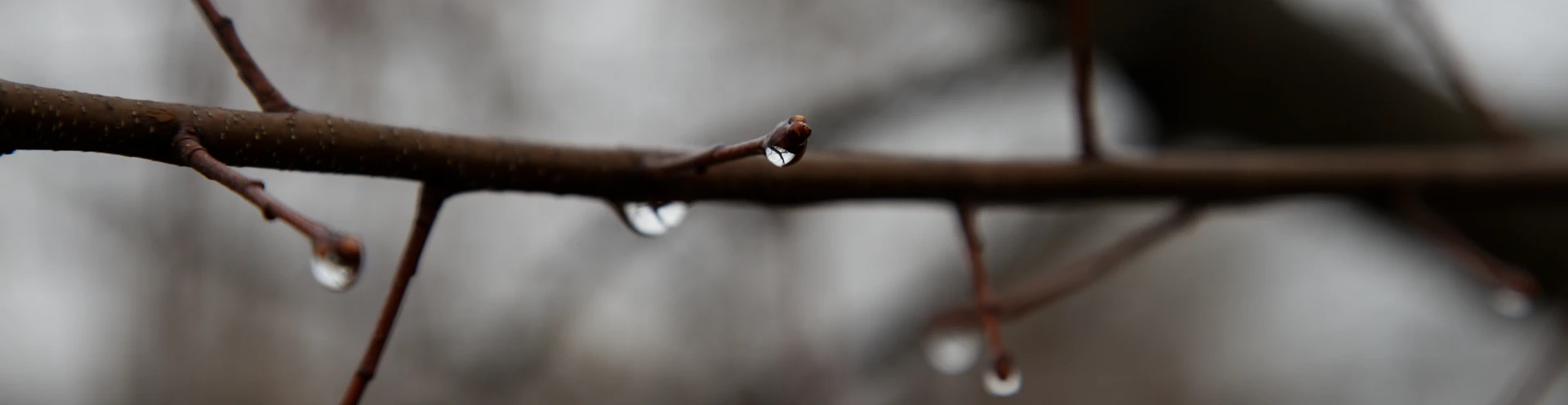 Cover for team profile